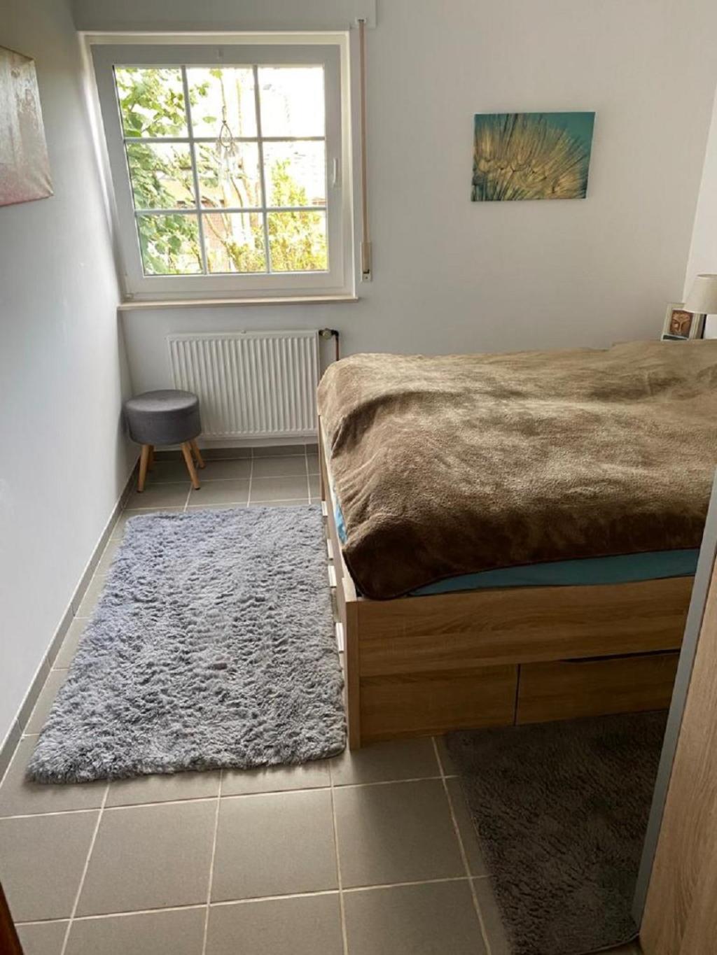 Ferienhaus Glueckspilz Beim Hennesee Meschede Ngoại thất bức ảnh