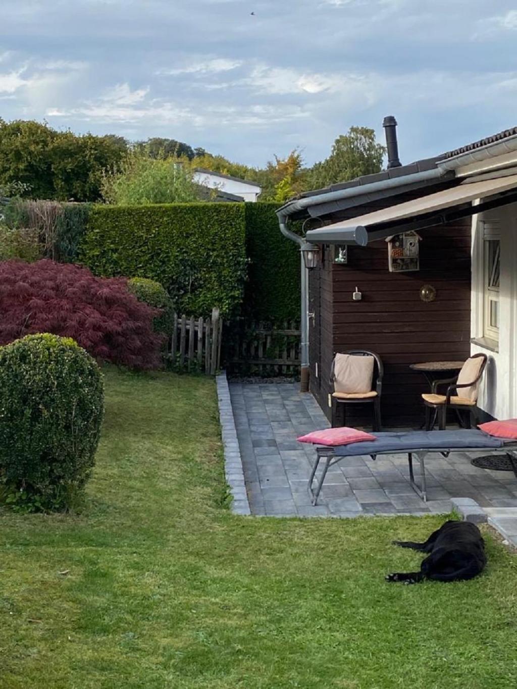 Ferienhaus Glueckspilz Beim Hennesee Meschede Ngoại thất bức ảnh